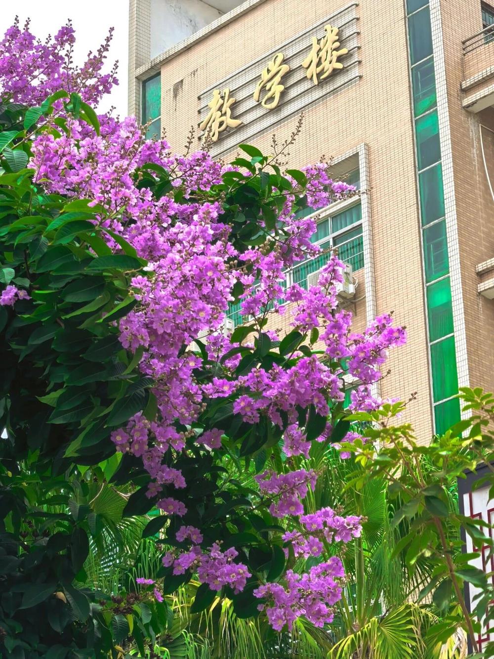 微信图片_2026-06-22_104328_978.jpg